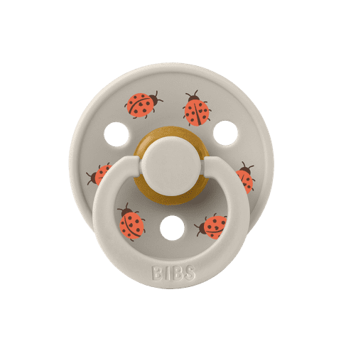 BIBS čiulptukų rinkinys 2 dydis (6 - 18 mėn.) Ladybug Blush Mix