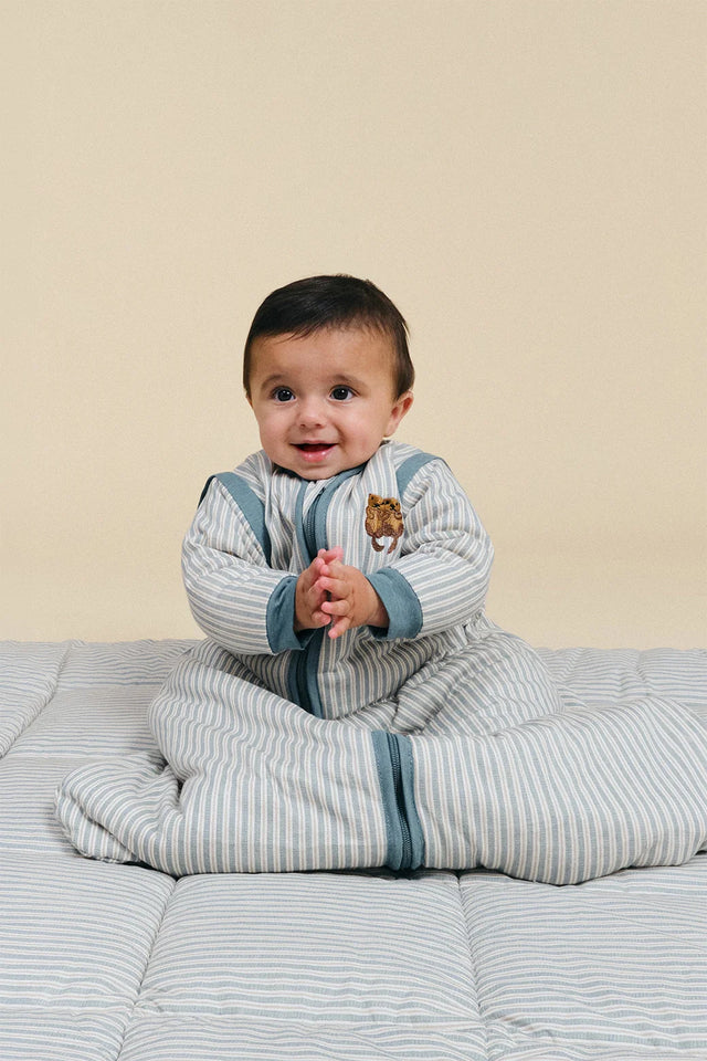 Molis&Co kūdikio miegmaišis su nusegamomis rankovėmis TOG 2.5 Blue Stripes