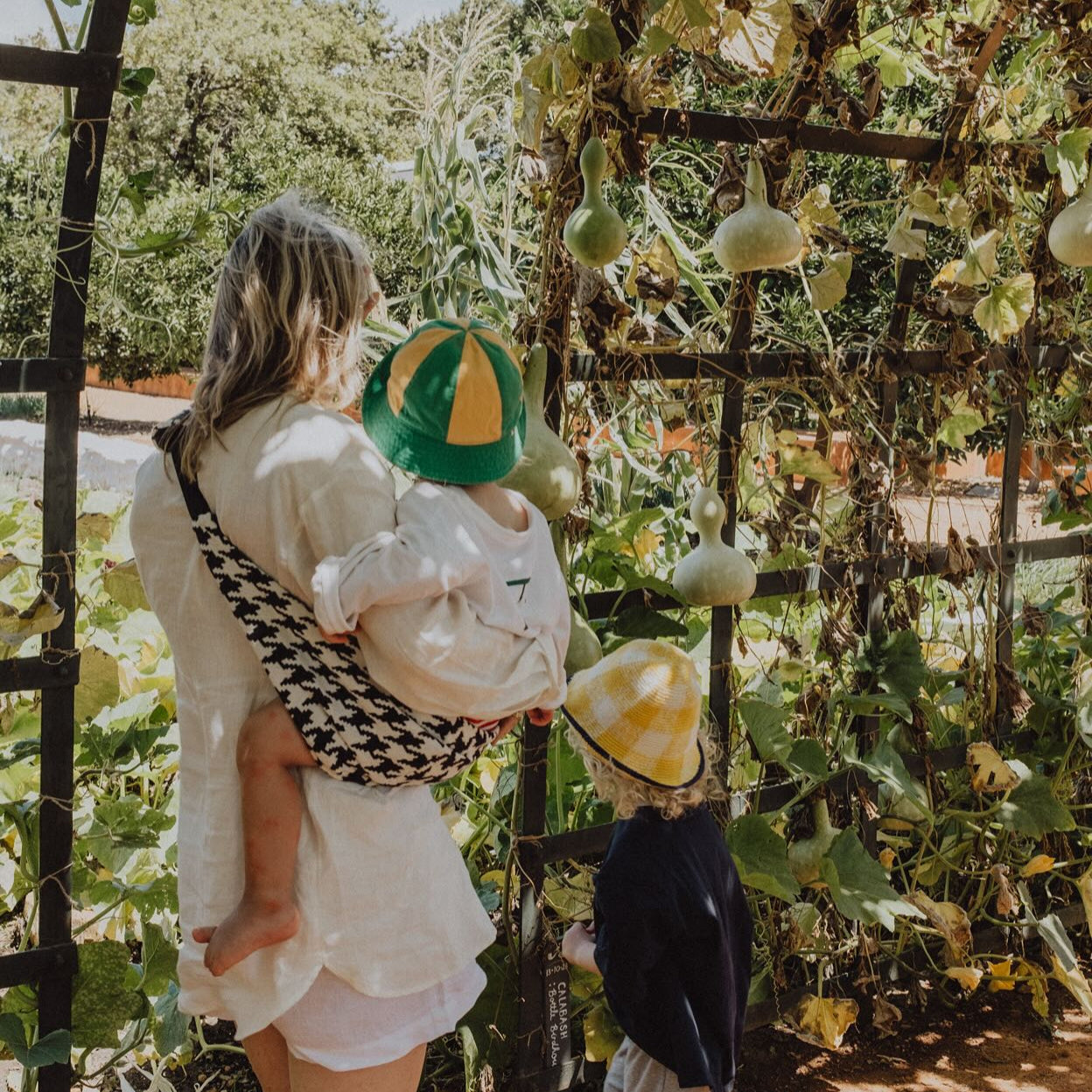 WILDRIDE pārvadātājs Melns