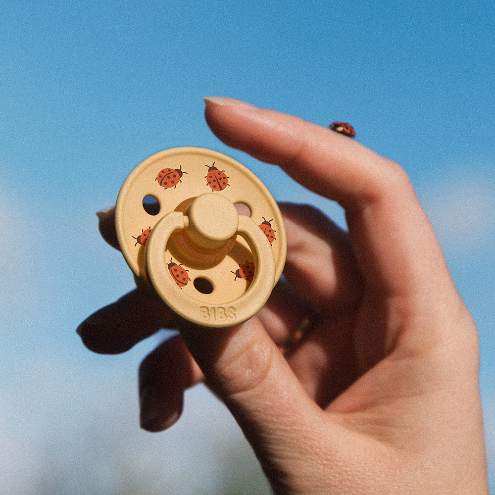 BIBS čiulptukų rinkinys 2 dydis (6 - 18 mėn.) Ladybug Sage Mix