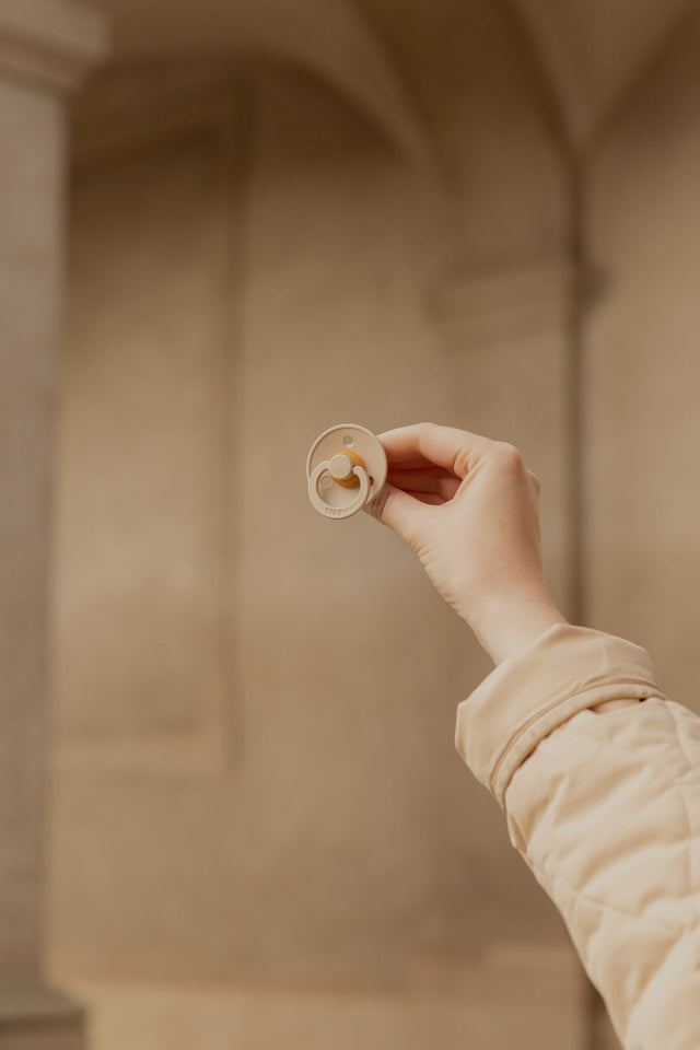 BIBS knupīšu komplekts 2. izmērs (6 - 18 mēn.) Priede / Rudzupuķe