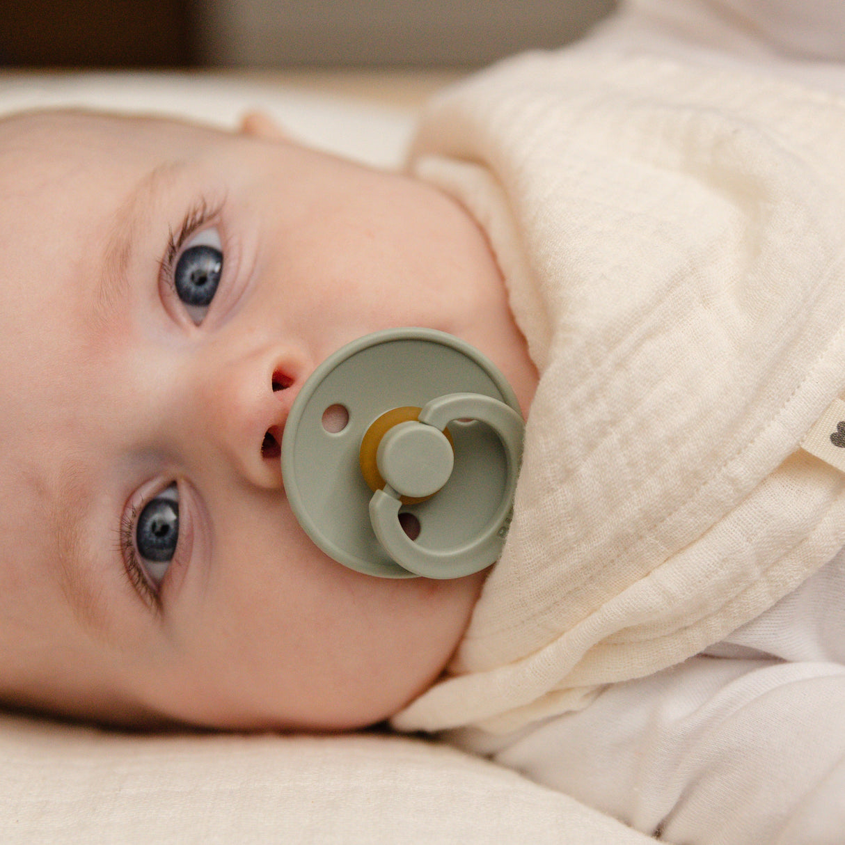 BIBS čiulptukų rinkinys Colour Try-it 3 vnt. Blush