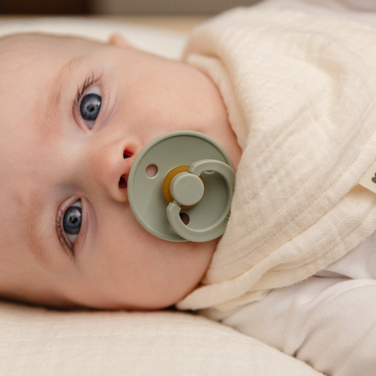 BIBS čiulptukų rinkinys Colour Try-it 3 vnt. Sage