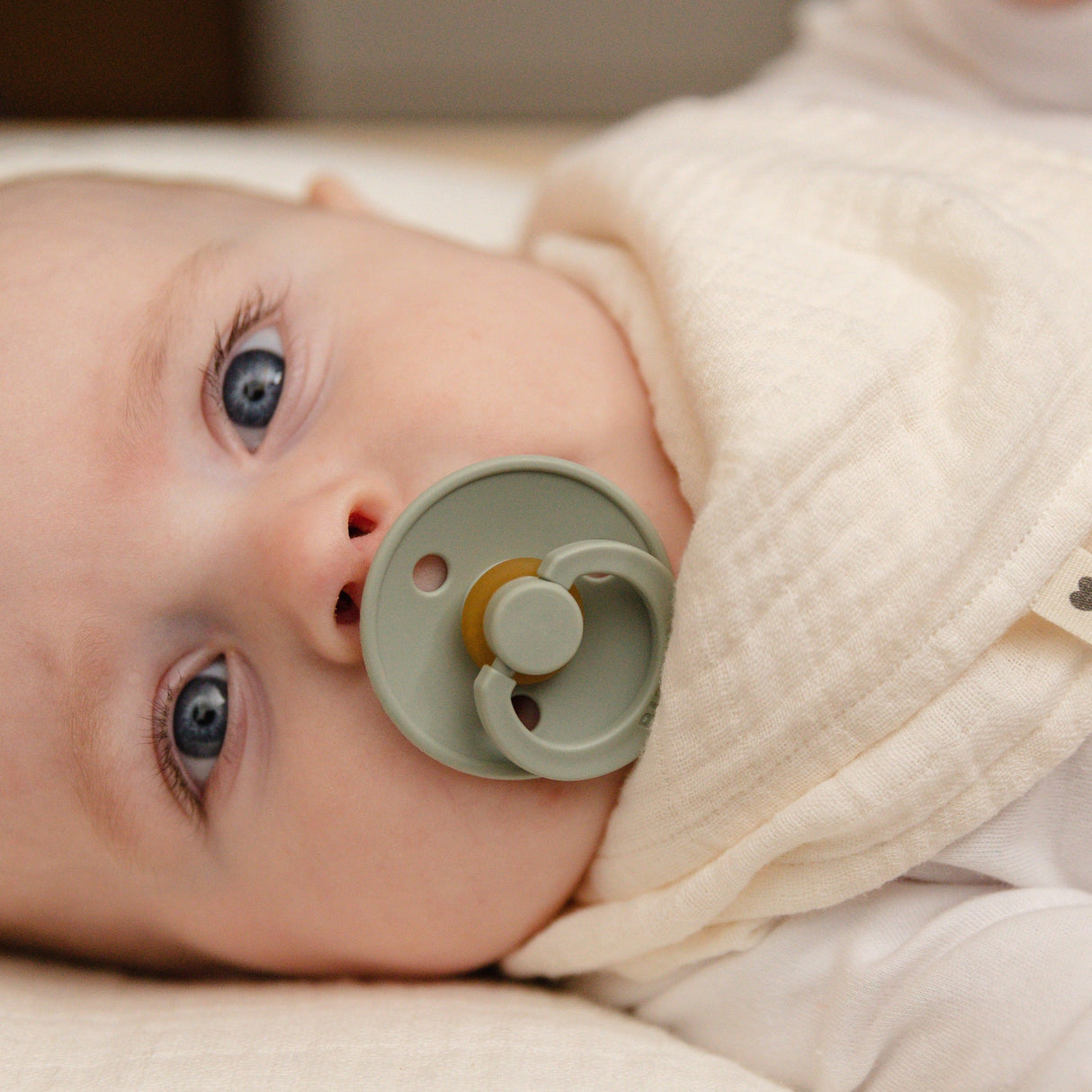 BIBS knupīšu komplekts Color Try-it 3 gab. Ziloņkauls