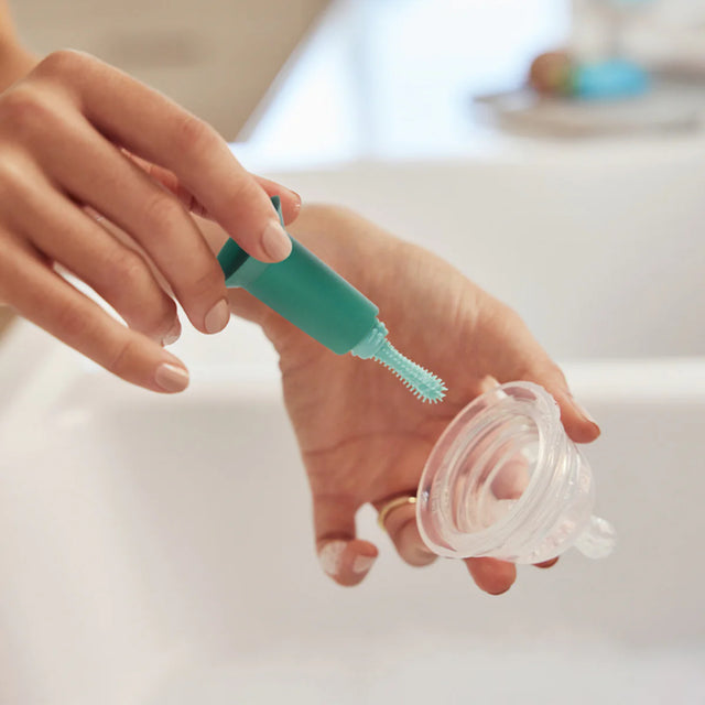 Munchkini harjakomplekt pudelite ja joogiklaaside pesemiseks