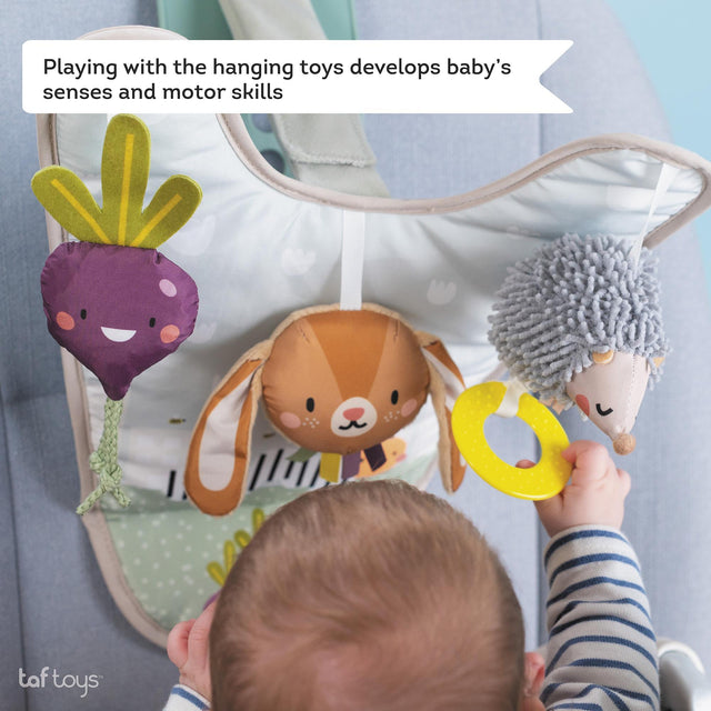 Taf Toys žaislas automobiliui Urban Garden