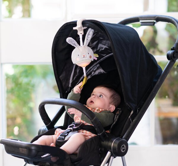 Taf Toys muzikinis pakabinamas žaislas vežimėliui Garden Bunny, 0 mėn.+