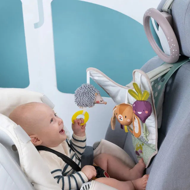 Taf Toys žaislas automobiliui Urban Garden