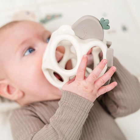 Mushie silikoonist närimispall Kuivatatud tüümian