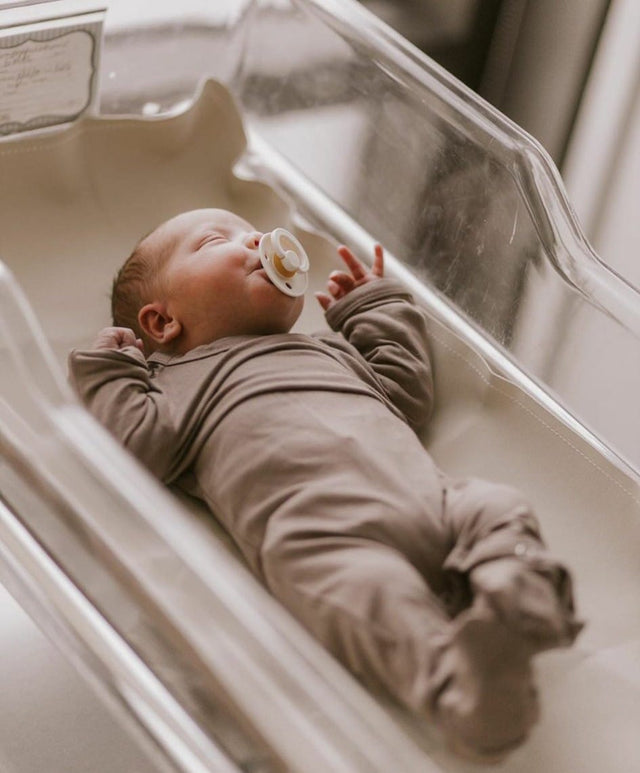 BIBS čiulptukų rinkinys 1 dydis (0 - 6 mėn.) Vanilla / Blush (4798718476370)