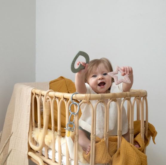 BIBS košļājamās salvijas sirds (Bitie Heart Sage)