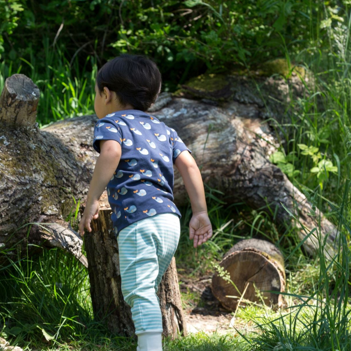 Mazo zaļo radikāļu vaļu dziesmu komplekts (krekls un bikses)