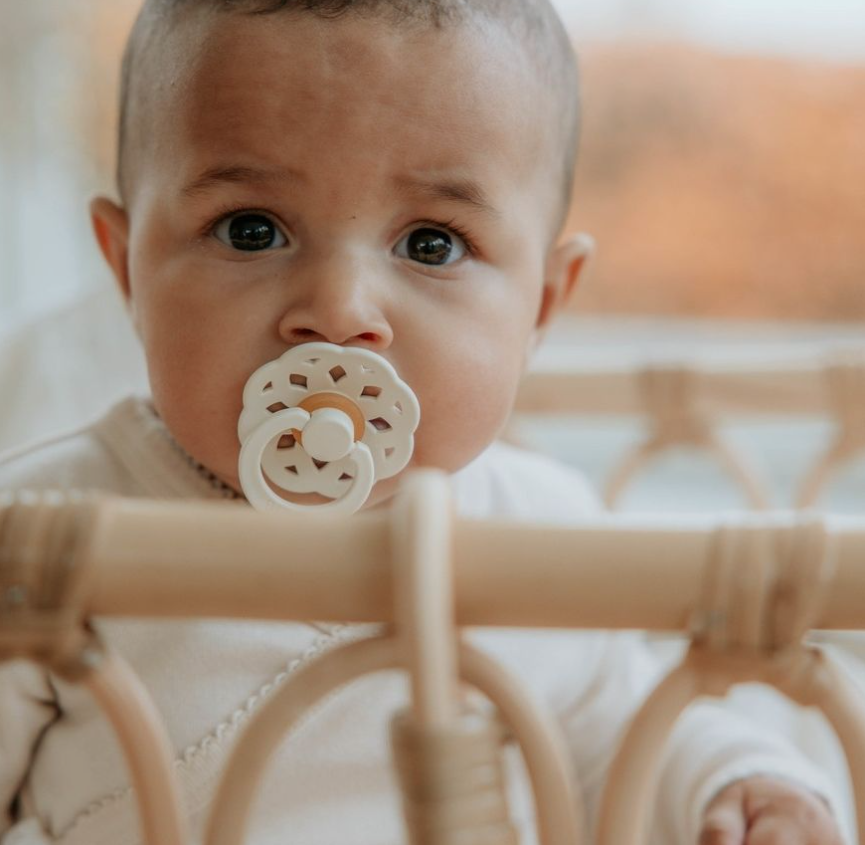 BIBS čiulptukų rinkinys 1 dydis (0 - 6 mėn.) Boheme Woodchuck/Blush