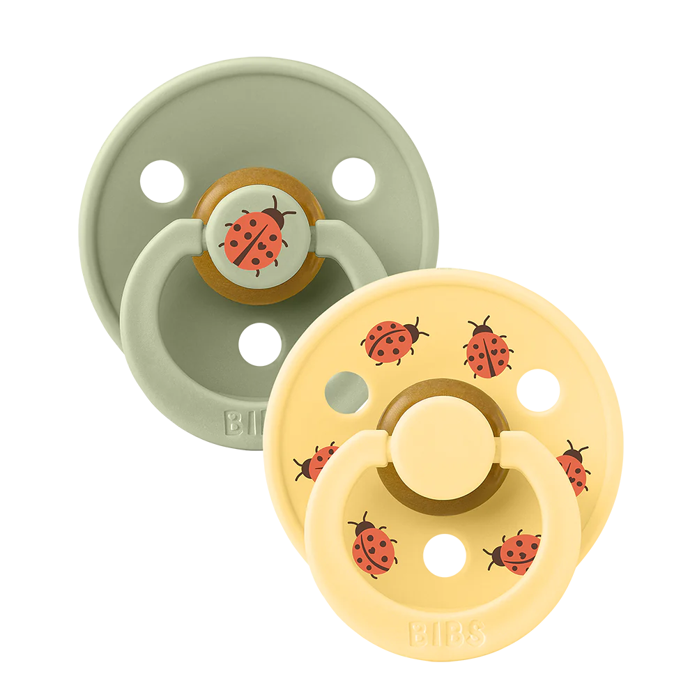 BIBS čiulptukų rinkinys 2 dydis (6 - 18 mėn.) Ladybug Sage Mix