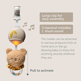 Taf Toys muzikinis pakabinamas žaislas Bear, 0 mėn.+