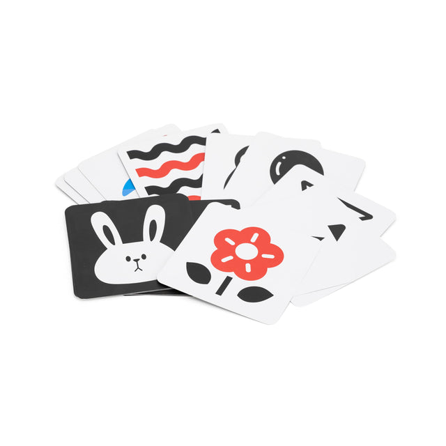 PolarB medinis edukacinis žaislų rinkinys Grow-with-Me Box (0 - 6 mėn.)