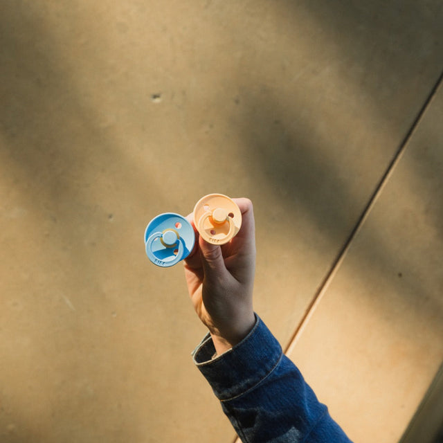 BIBS čiulptukų rinkinys 1 dydis (0 - 6 mėn.)  Mushroom/Breeze