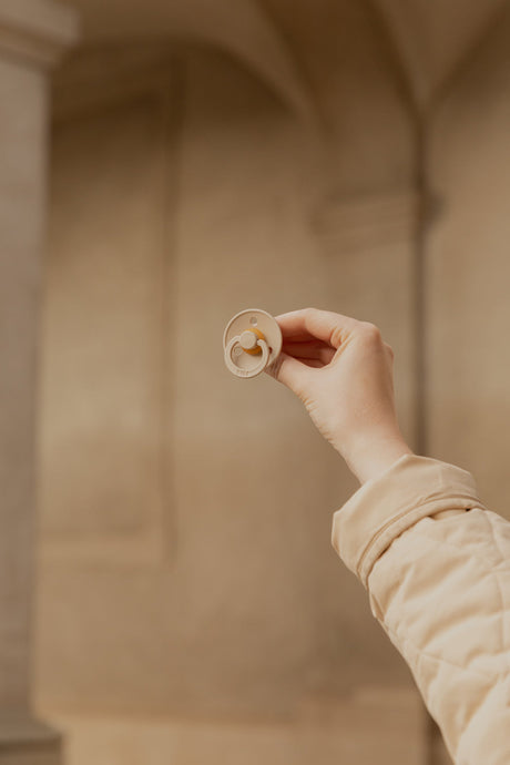 BIBS knupīšu komplekts 2. izmērs (6 - 18 mēn.) Priede / Rudzupuķe 