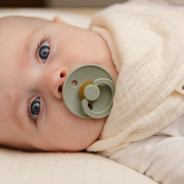 BIBS čiulptukų rinkinys Colour Try-it 3 vnt. Sage