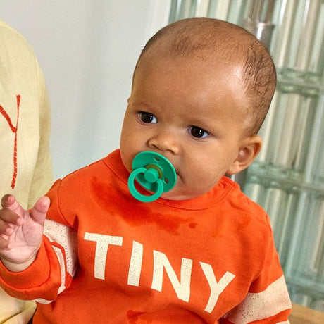 BIBS Colour Round čiulptukų rinkinys 2 dydis (6 - 18 mėn.) Matcha / Cactus