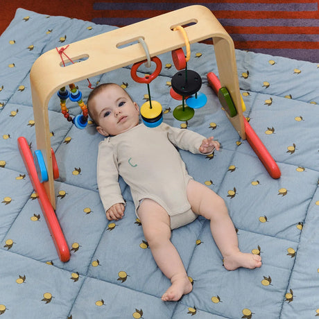 Molis&Co ropojimo kilimėlis kūdikiui su krepšiu 120×120 cm Colima