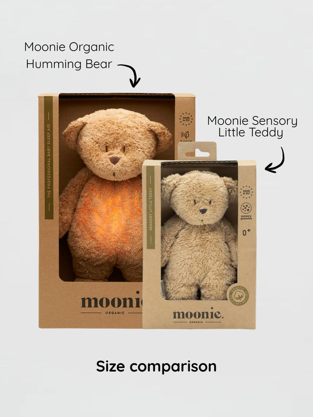 Moonie sensorinis minkštas žaislas Little Teddy Cappuccino