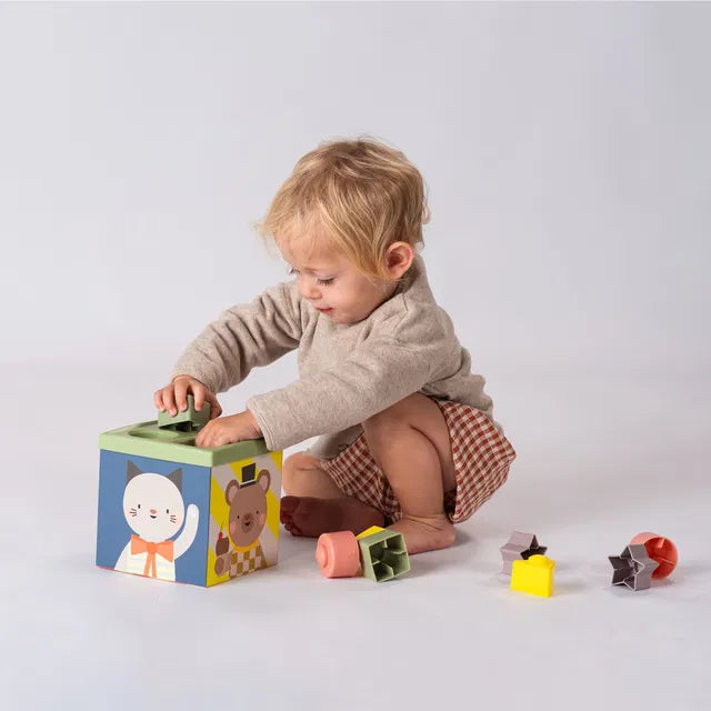 Taf Toys lavinamasis kubas Play & discover