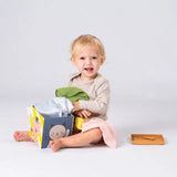 Taf Toys lavinamasis kubas Play & discover