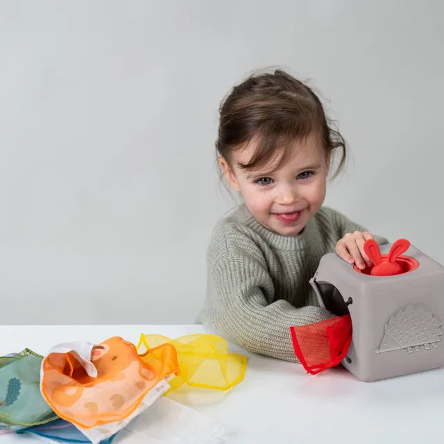 Taf Toys lavinamasis žaislas Pop Up Tissue Box