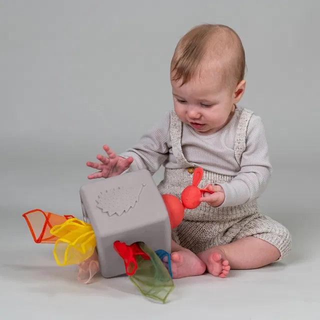 Taf Toys lavinamasis žaislas Pop Up Tissue Box