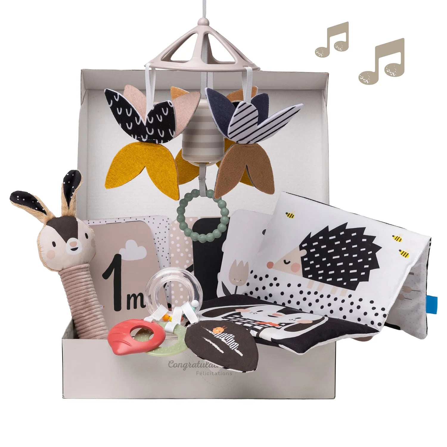 Taf Toys Black & White Newborn Kit sensorinis rinkinys naujagimiui, 10 dalių