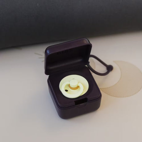 BIBS čiulptuko dėklas - užkandžių dėžutė Plum