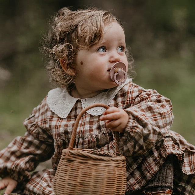 BIBS čiulptukų rinkinys 2 dydis (6 - 18 mėn.) Petal / Plum