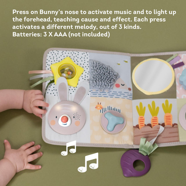 Taf Toys veiklos centras