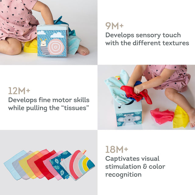 Taf Toys lavinamasis žaislas - jutiminė audinių dėžutė Kimmy Koala Wonder Tissue Box