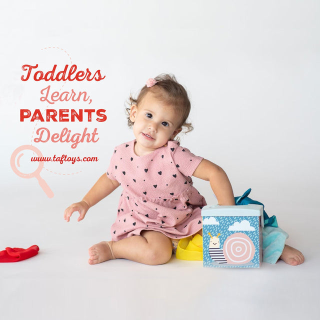 Taf Toys lavinamasis žaislas - jutiminė audinių dėžutė Kimmy Koala Wonder Tissue Box