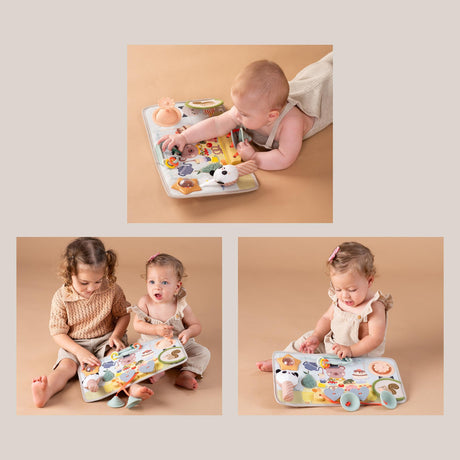 Taf Toys veiklos lenta - lavinamasis žaislas Peek, Pop & Play, 6+ mėn.