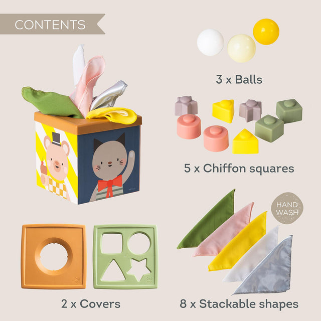 Taf Toys lavinamasis kubas Play & discover