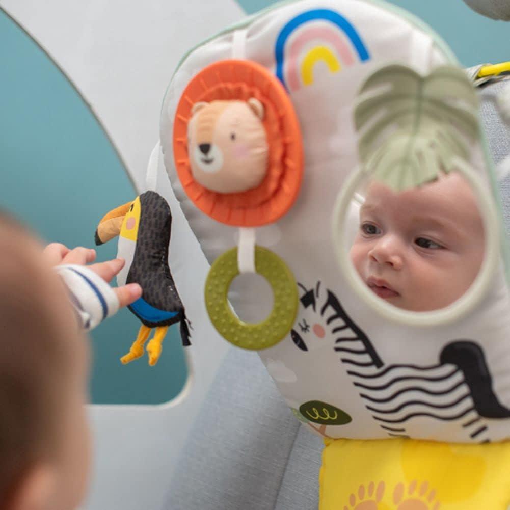 Taf Toys žaislas automobiliui Savannah Play & Kick