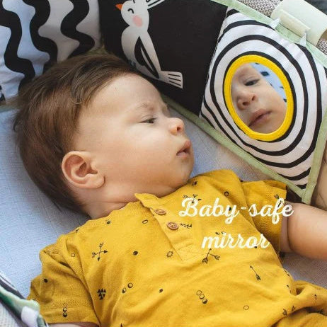 Taf toys lavinamoji knygelė Koala