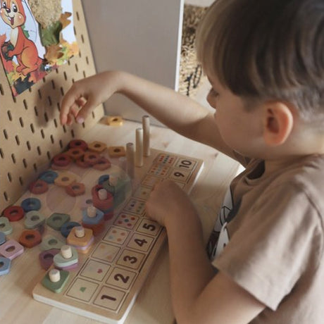 PolarB medinis edukacinis žaislas Count & Match