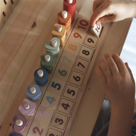 PolarB medinis edukacinis žaislas Count & Match