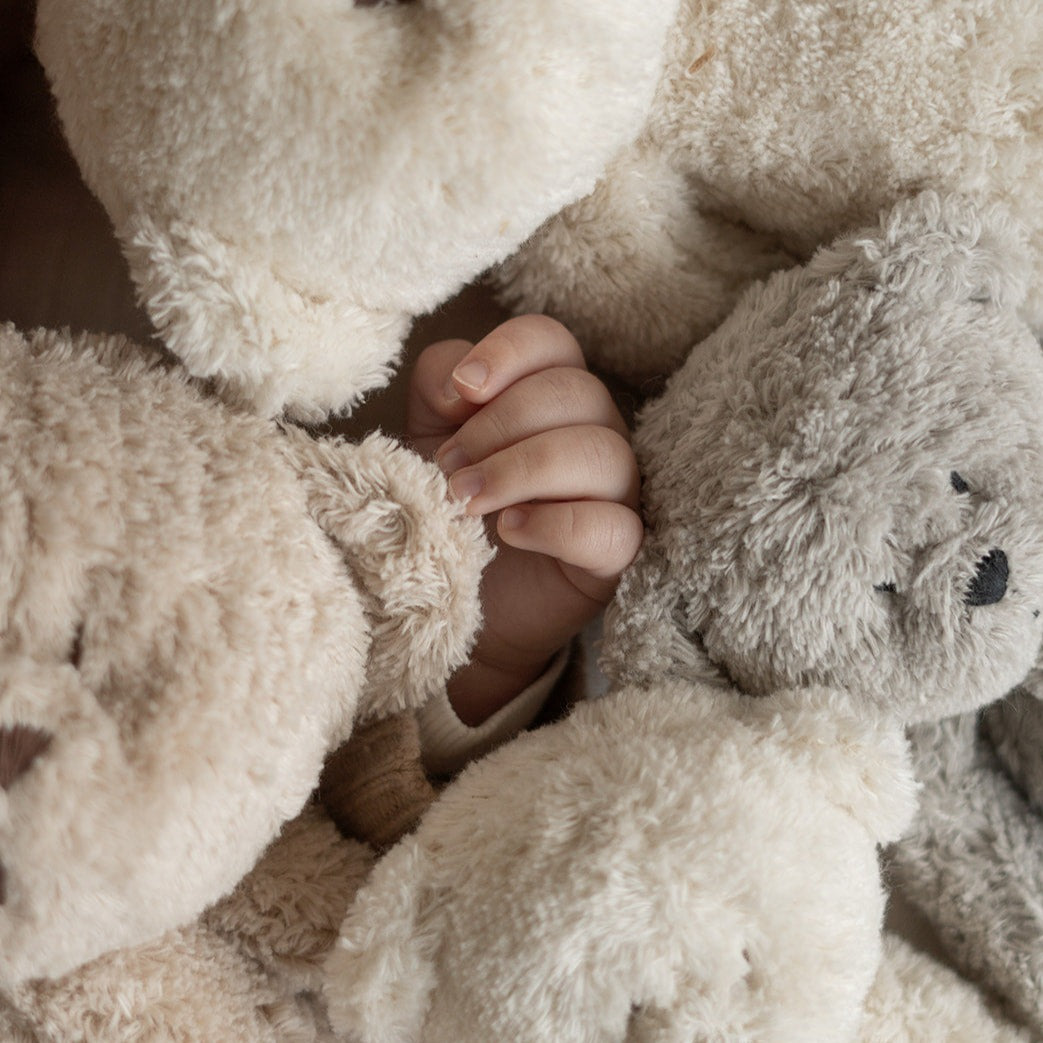 Naujasis Moonie organinis migdukas  meškutis (Rose Bear 2024)