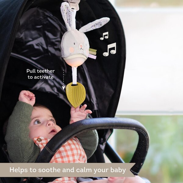 Taf Toys muzikinis žaislas vežimėliui Garden Stroller Bunny