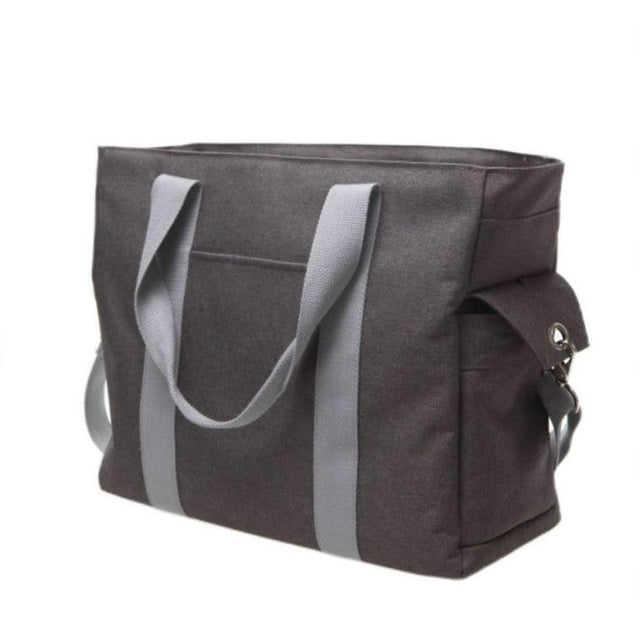 Spectra mamos krepšys pientraukiui ir kūdikio reikmėms