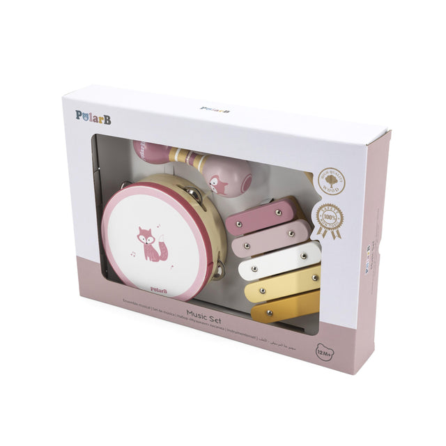 PolarB muzikos instrumentų rinkinys Fox Multicolor