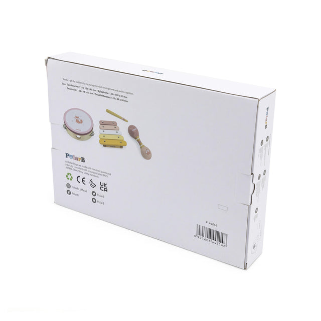 PolarB muzikos instrumentų rinkinys Fox Multicolor