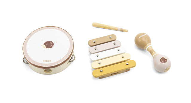 PolarB muzikos instrumentų rinkinys Hedgehog Multicolor