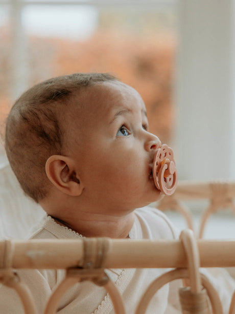 BIBS knupīša komplekts 2. izmērs (6 - 18 mēneši) Boheme Ivory/Blossom 