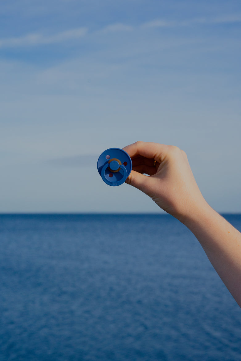 BIBS knupīšu komplekts 2. izmērs (6 - 18 mēn.) Vanilla / Rudzupuķe 